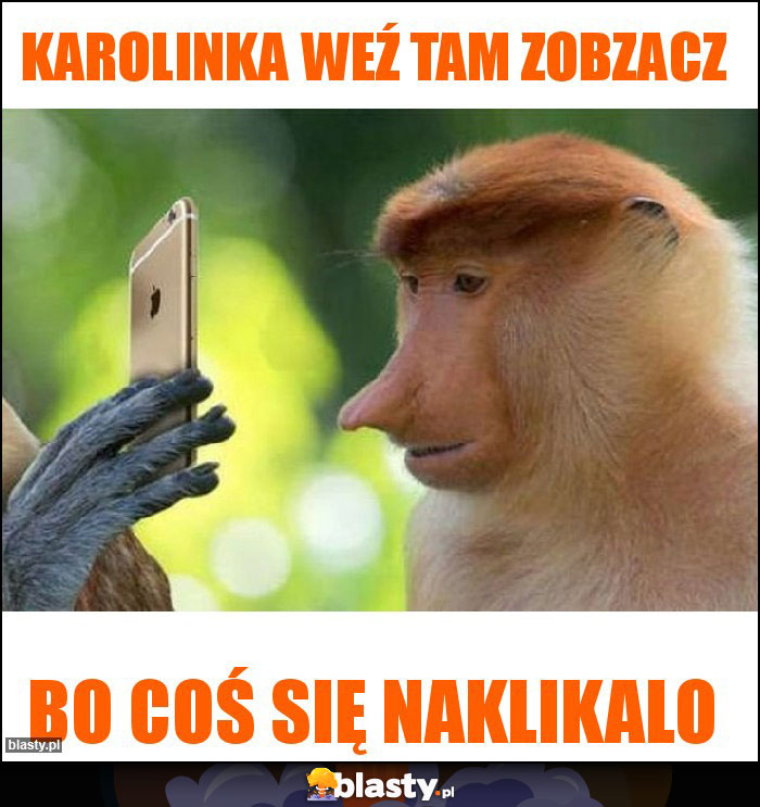 Karolinka weź tam zobzacz