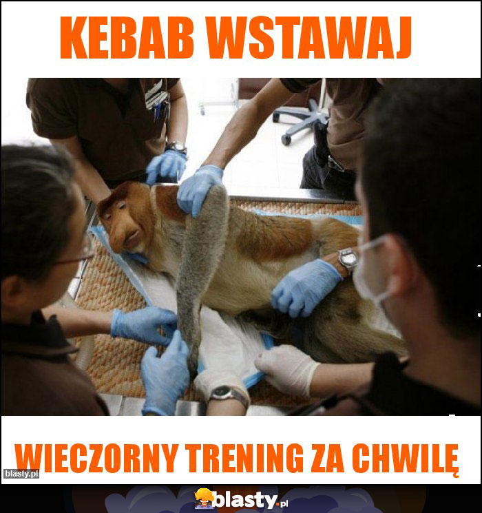 KEBAB WSTAWAJ