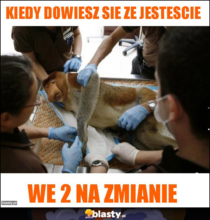 Kiedy dowiesz sie ze jestescie