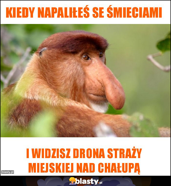 Kiedy napaliłeś se śmieciami