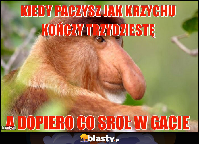 Kiedy paczysz jak Krzychu kończy trzydziestę