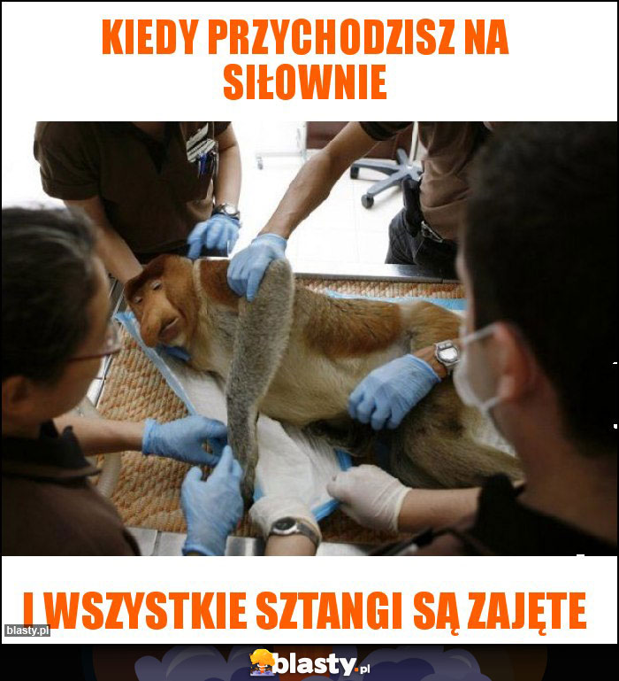 Kiedy przychodzisz na siłownie