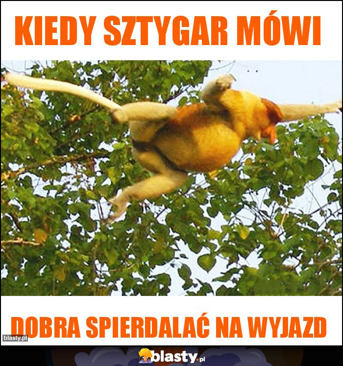 Kiedy sztygar mówi