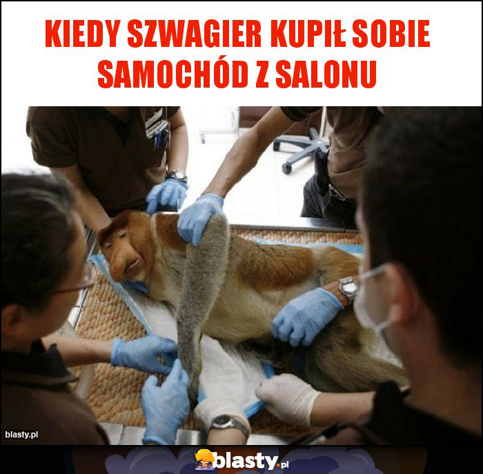 Kiedy szwagier kupił sobie samochód z salonu