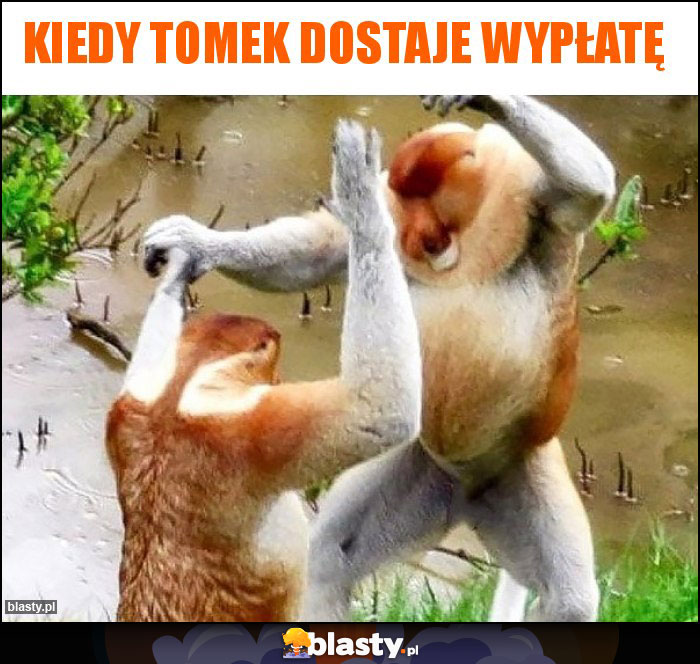 Kiedy Tomek dostaje wypłatę