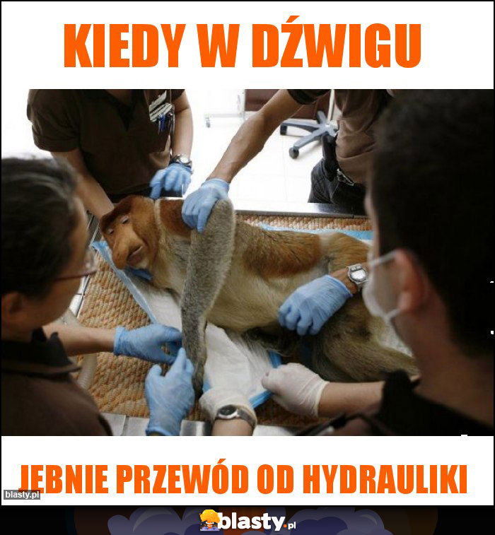 Kiedy w dźwigu