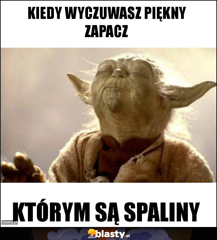 Kiedy wyczuwasz piękny zapacz