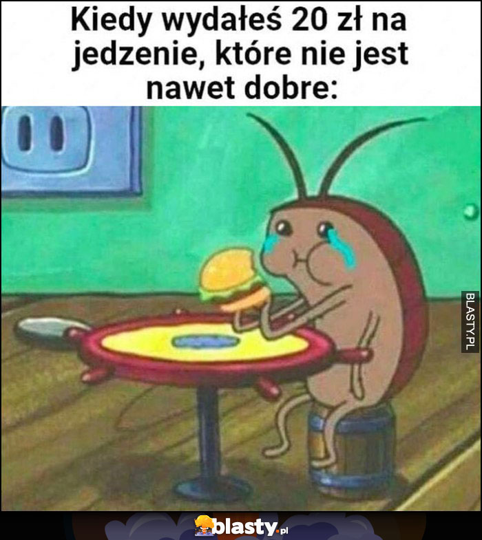 Kiedy wydałeś 20zł na jedzenie które nie jest nawet dobre