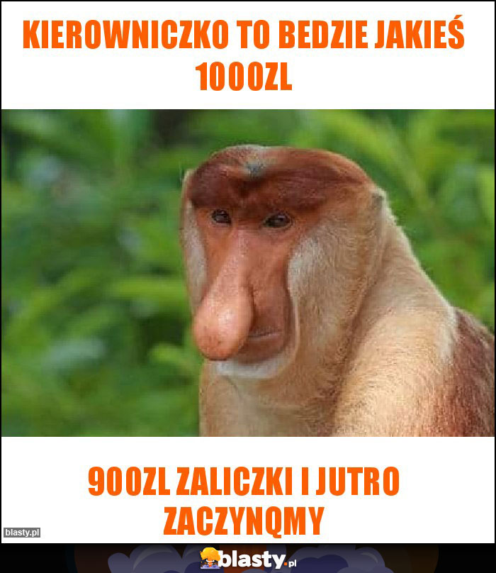 Kierowniczko to bedzie jakieś 1000zl