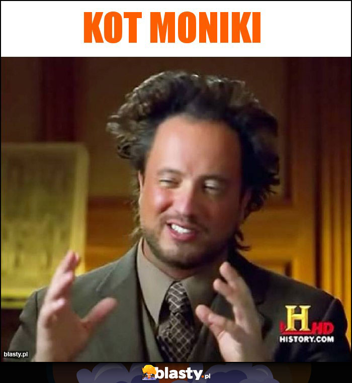 kot Moniki