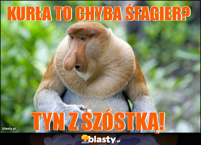 KURŁA TO CHYBA ŚFAGIER?