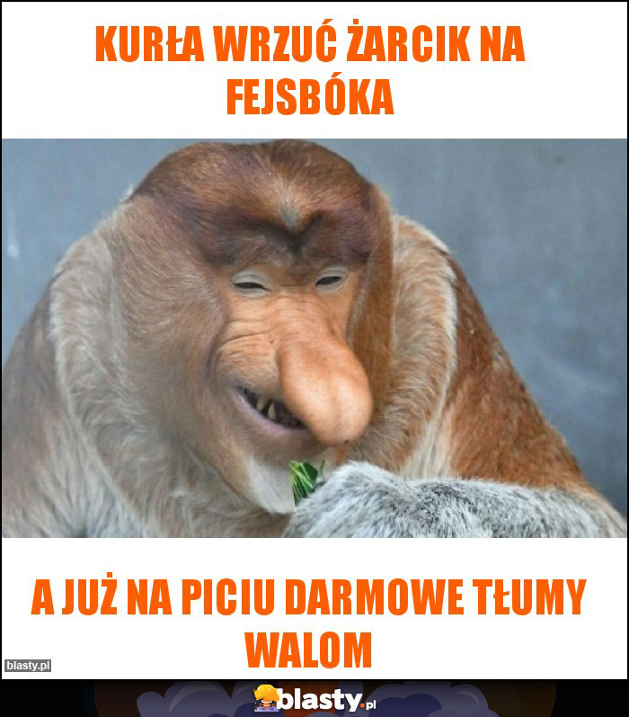 Kurła wrzuć żarcik na fejsbóka