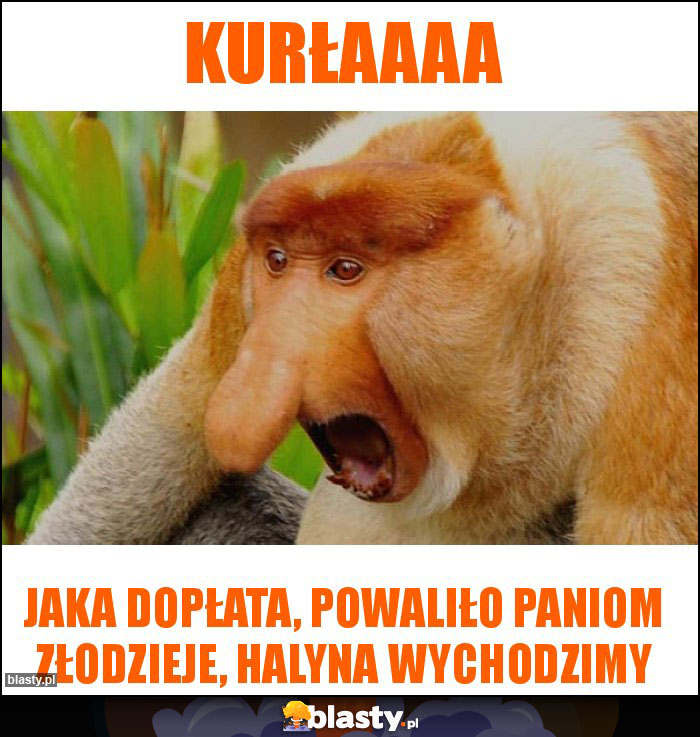 KUrłaaaa