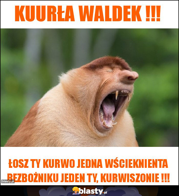 KUURŁA WALDEK !!!