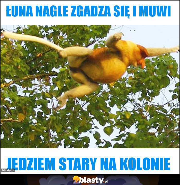 Łuna nagle zgadza się i muwi