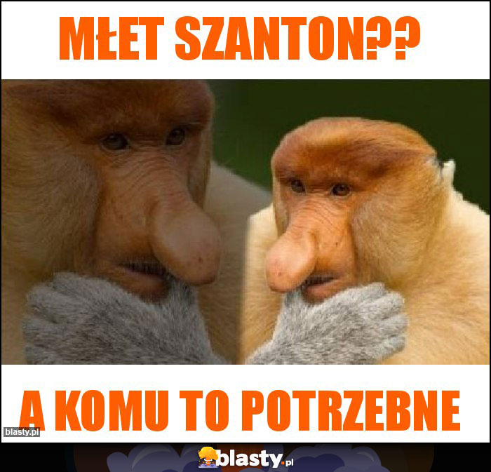 MŁET SZANTON??