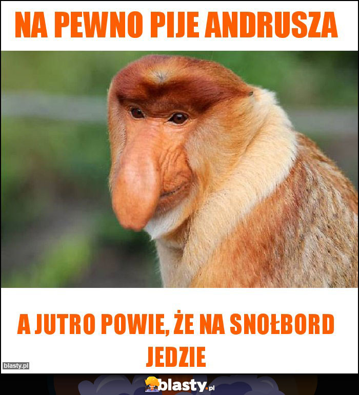 Na pewno pije andrusza