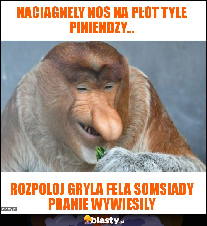 Naciagnely nos na płot tyle piniendzy...