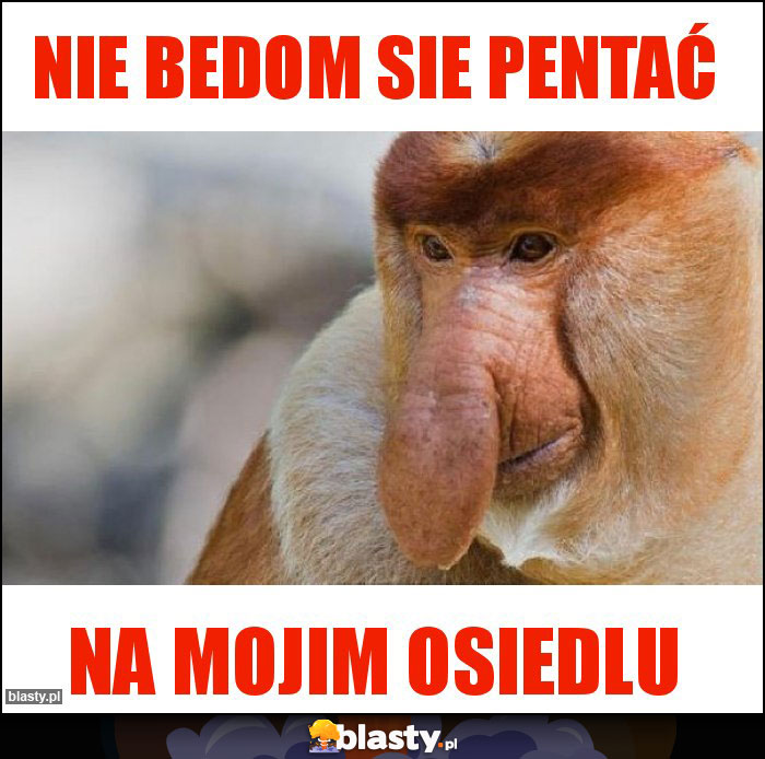 nie bedom sie pentać