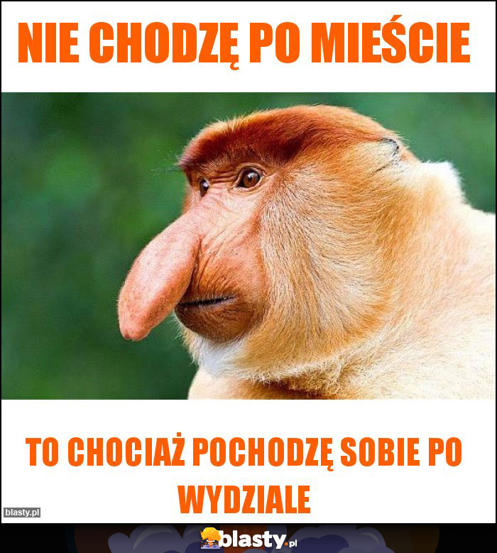 NIE CHODZĘ PO MIEŚCIE