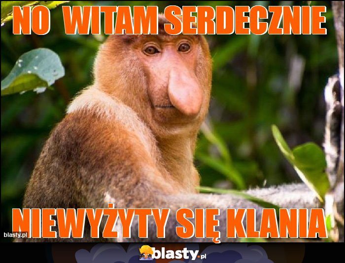 No  witam serdecznie