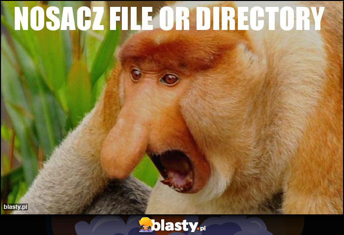 NOSACZ FILE OR DIRECTORY