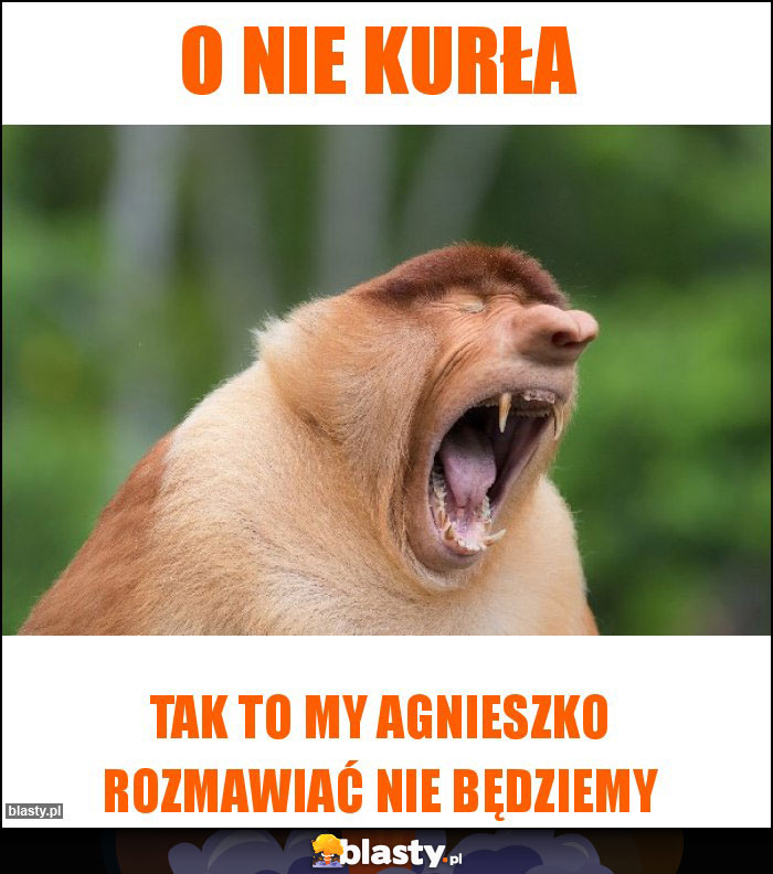 O nie Kurła