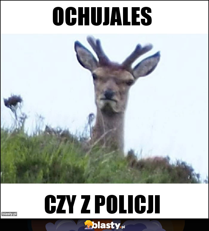 Ochujales