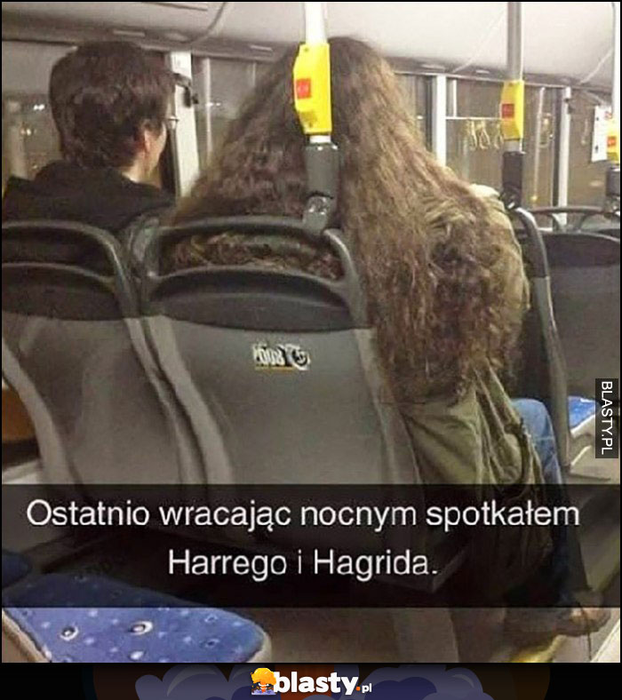 Ostatnio wracając nocnym spotkałem Harrego i Hagrida