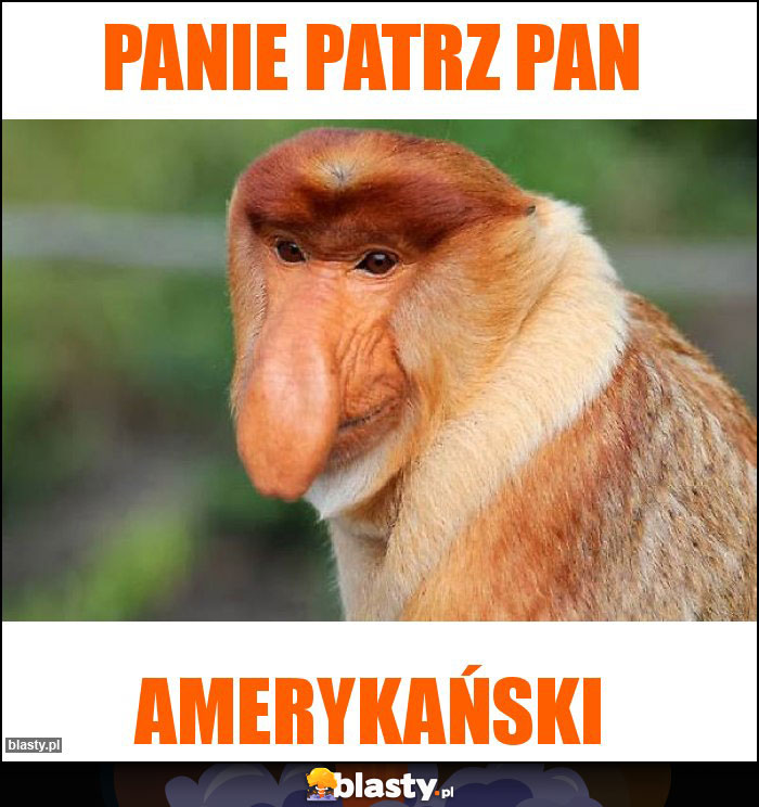 Panie patrz Pan