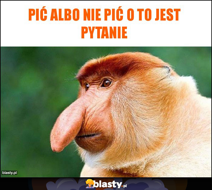 Pić albo nie pić o to jest pytanie