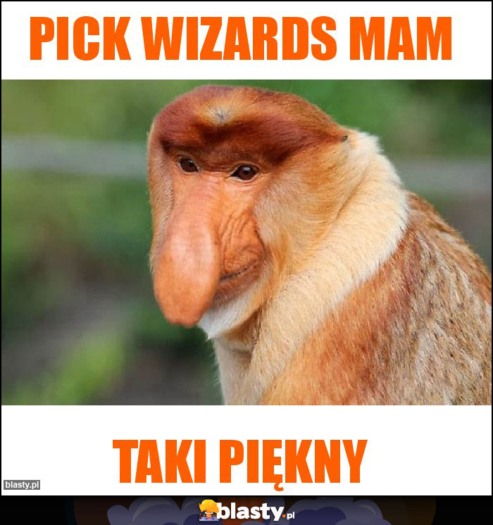 Pick Wizards mam