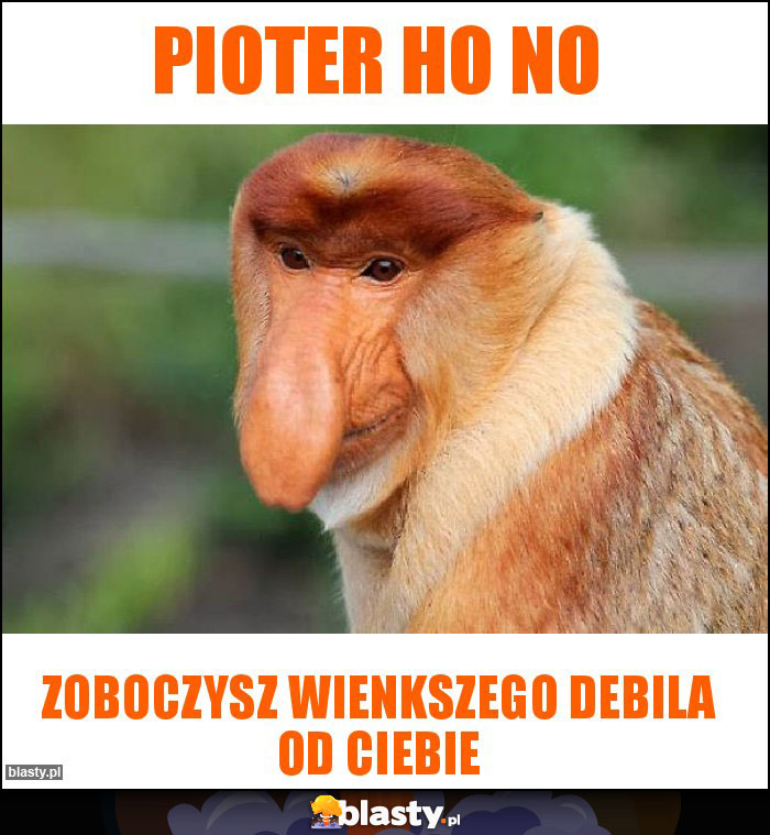 Pioter ho no