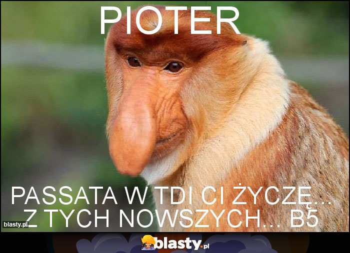 Pioter