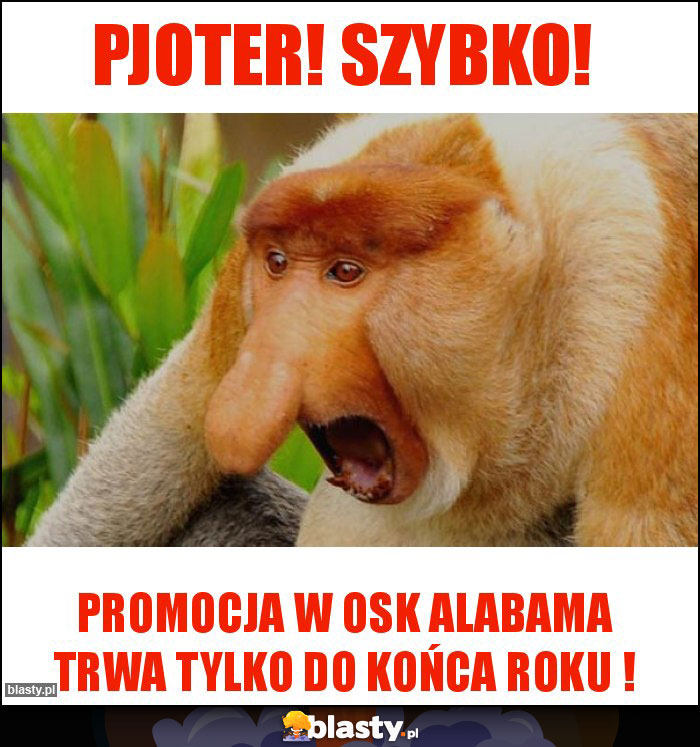 PJOTER! SZYBKO!