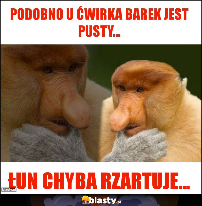 Podobno u Ćwirka barek jest pusty...