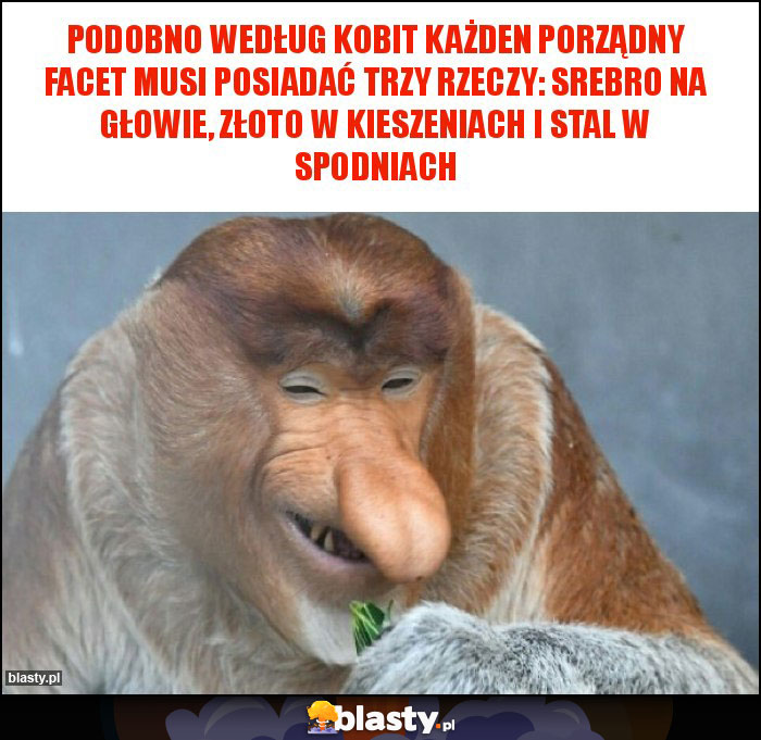 Podobno według kobit każden porządny facet musi posiadać trzy rzeczy: srebro na głowie, złoto w kieszeniach i stal w spodniach