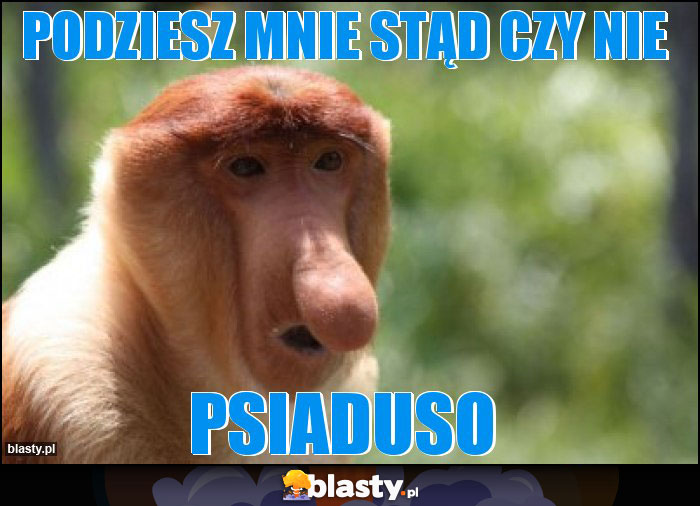 Podziesz mnie stąd czy nie