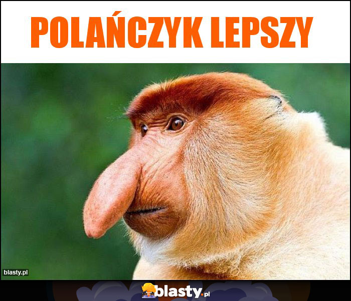 Polańczyk lepszy