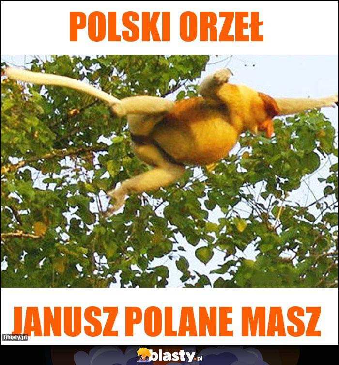 POLSKI ORZEŁ