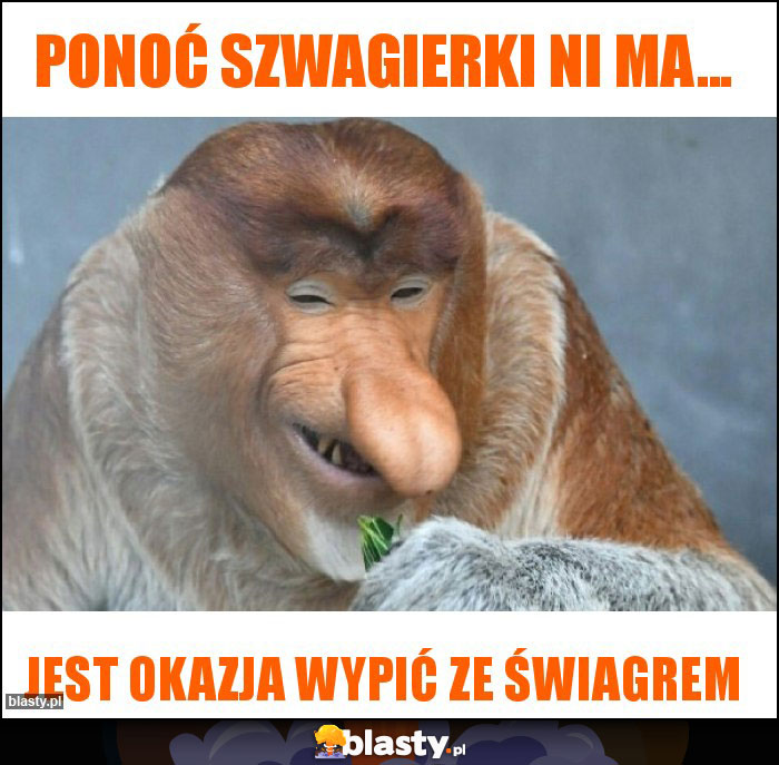 Ponoć Szwagierki ni ma...