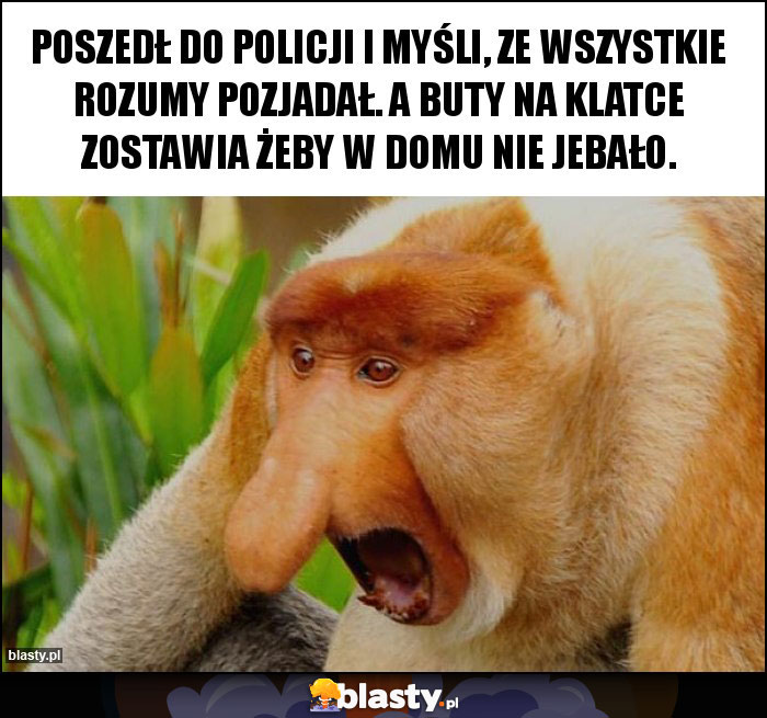 Poszedł do policji i myśli, ze wszystkie rozumy pozjadał. A buty na klatce zostawia żeby w domu nie jebało.