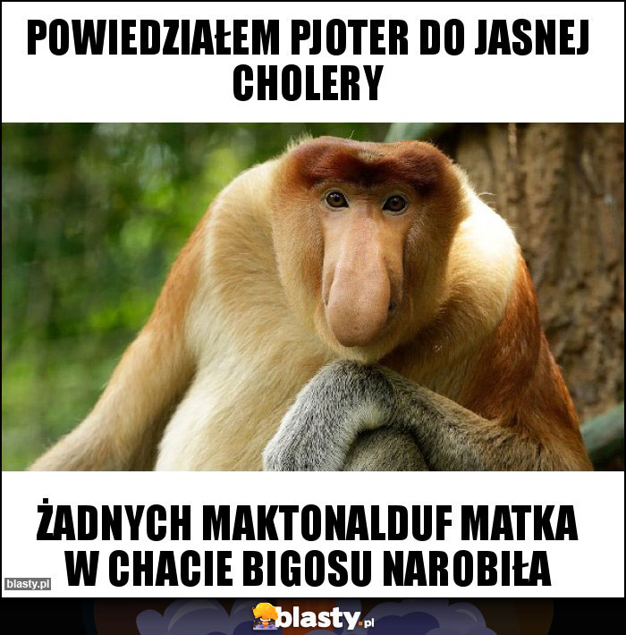 Powiedziałem Pjoter do jasnej cholery