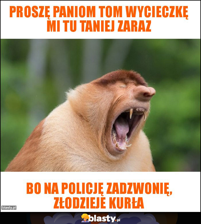 Proszę paniom tom wycieczkę mi tu taniej zaraz