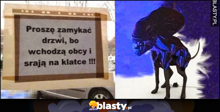 Proszę zamykać drzwi bo wchodzą obcy i srają na klatce Alien