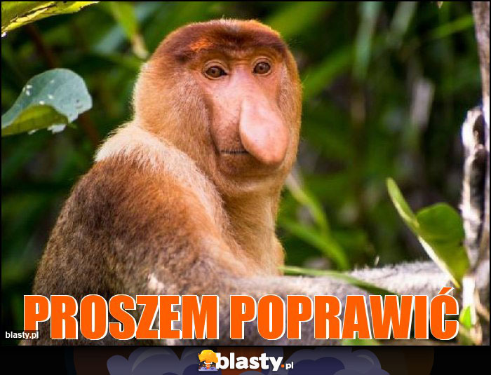 Proszem poprawić