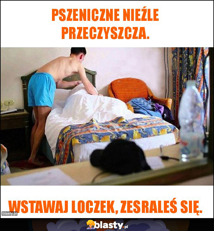 Pszeniczne nieźle przeczyszcza.