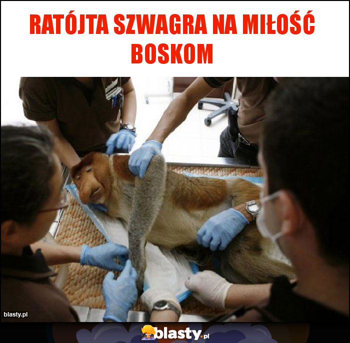 Ratójta Szwagra na miłość boskom