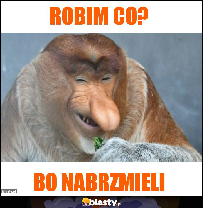 Robim co?