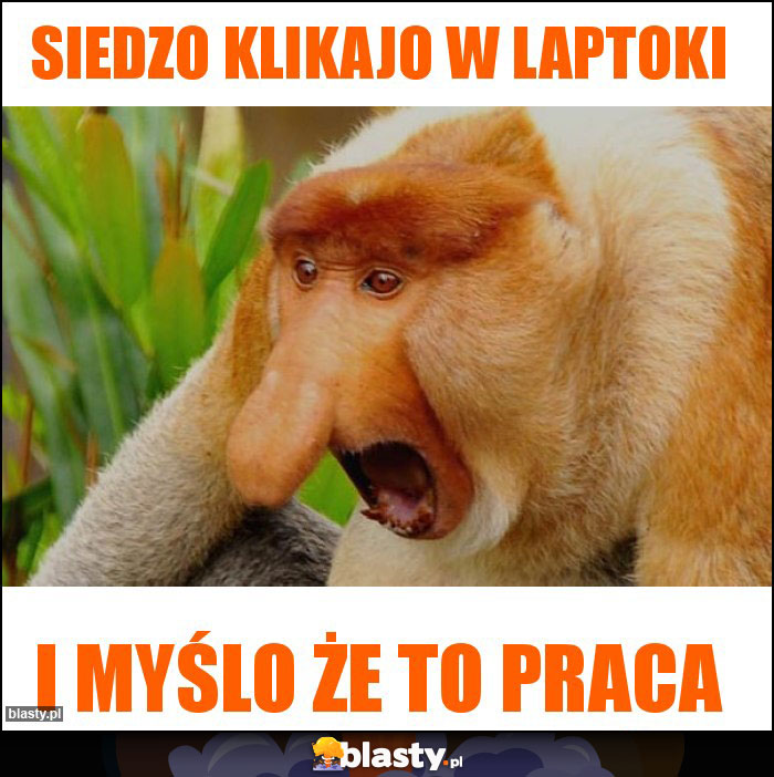 SIEDZO KLIKAJO W LAPTOKI